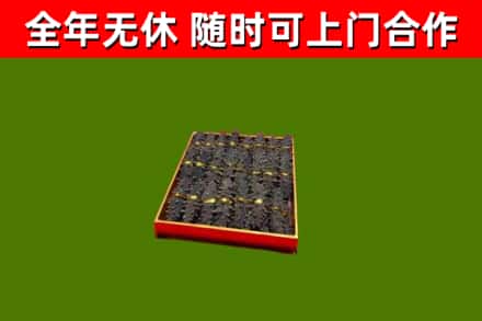 阳曲县回收海参